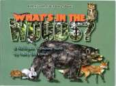 What's In the Woods?: A Great Lakes Area Treasure Hunt