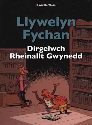 Dirgelwch Rheinallt Gwynedd