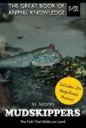 Mudskippers: The Fish That Walks on Land