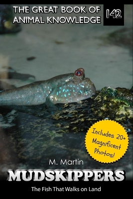 Mudskippers: The Fish That Walks on Land