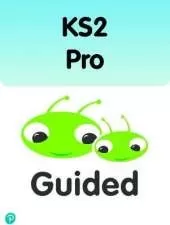 Bug Club Comprehension Y5 Term 1 Pupil Workbook 16-pack