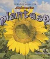 Que son las Plantas?