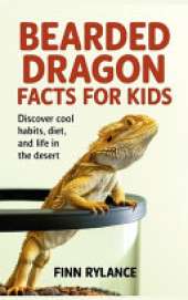 Bearded Dragon Facts for Kids: Discover Cool Habits, Diet, and Life in the Desert