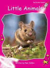 Red Rocket Readers: Emergent Non-Fiction Set C: Little Animals