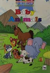 Copy Colour: Baby Animals