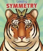 Seeing Symmetry