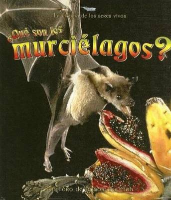 Que son los Murcielagos?