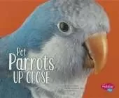 Pet Parrots Up Close