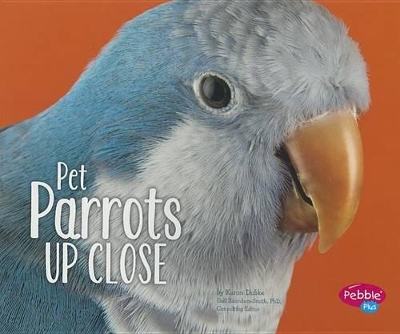 Pet Parrots Up Close