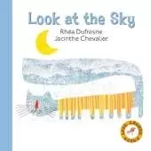 Look at the Sky