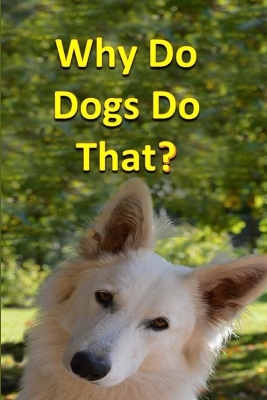 Why Do Dogs Do That?