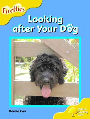 Oxford Reading Tree: Stage 5: Fireflies: Looking After Your Dog