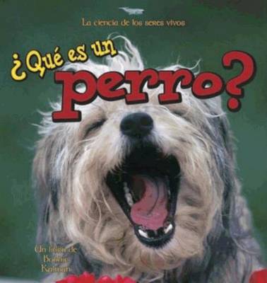 Que es un Perro?