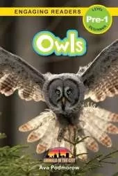 Owls: Animals in the City (Engaging Readers, Level Pre-1)
