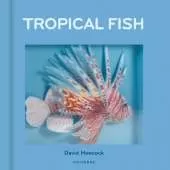 Tropical Fish: Pop-Up