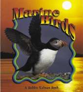 Marine Birds