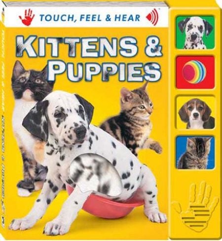 Kittens and Puppies