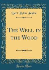 The Well in the Wood (Classic Reprint)