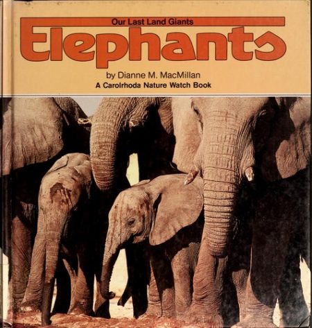 Elephants Naturewatch