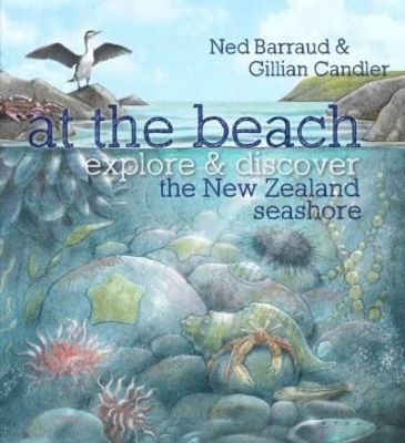 At the Beach: Explore & Discover the New Zealand Seashore