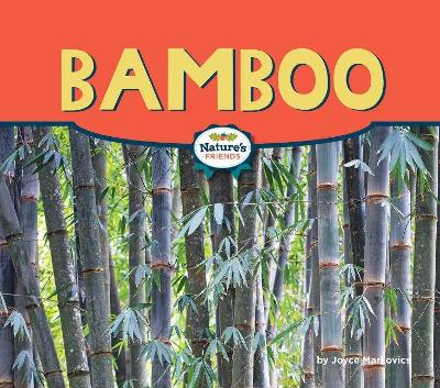 Bamboo