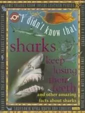 Sharks Keep Losing Their Teeth