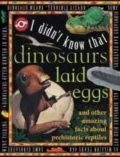 Dinosaurs Laid Eggs