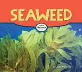Seaweed