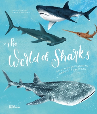 The World of Sharks: Get to Know the Fascinating Creatures of the Oceans