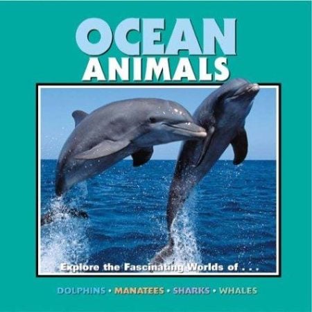 Ocean Animals: Exploring the Fascinating World of Sharks, Dolphins, Manatees and Whales