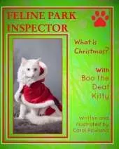 What is Christmas?