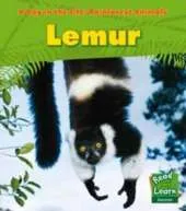 Lemur