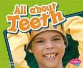 Healthy Teeth All About Teeth