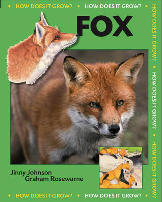 How Does it Grow?: Fox