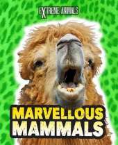 Marvellous Mammals