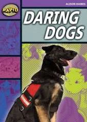 Rapid Stage 1 Set B: Daring Dogs(Series 1)