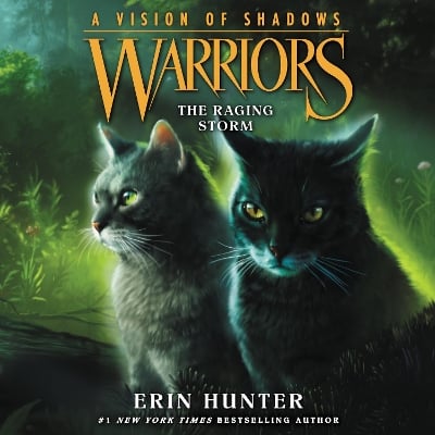Warriors: a Vision of Shadows #6: the Raging Storm