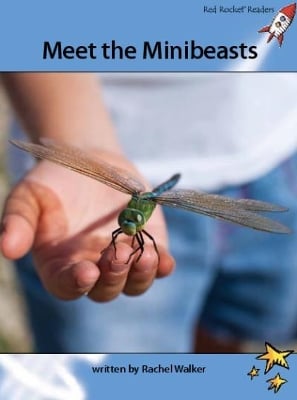 Meet the Minibeasts: Us English Edition