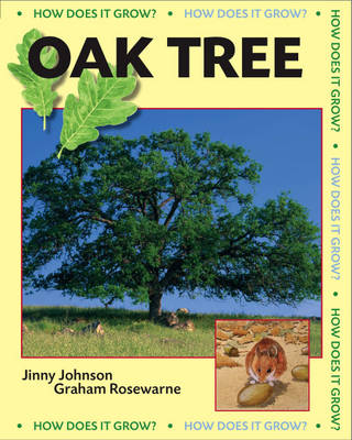 How Does it Grow?: Oak Tree