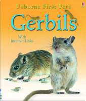 Gerbils
