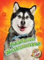 Alaskan Malamutes