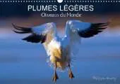 Plumes Legeres. Oiseaux du Monde 2017: Treize Photos d'Oiseaux en Action, Photographies avec l'Oeil d'Artiste de Philippe Henry