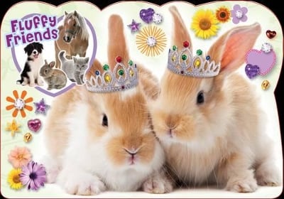 Bouncy Bunny: A Fluffy Friends Story Book