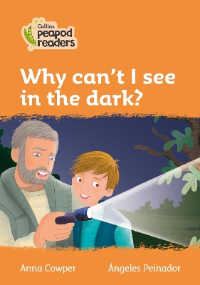 Why can't I see in the dark?: Level 4