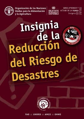 Insignia de la Reduccion del Riesgo de Desastres