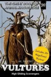 Vultures: High Gliding Scavengers