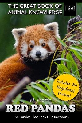 Red Pandas: The Pandas That Look Like Raccoons