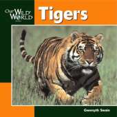Tigers