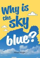 Why is the sky blue?: Fluency 14