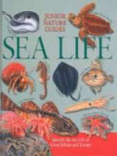 JR NATURE GUIDES SEALIFE